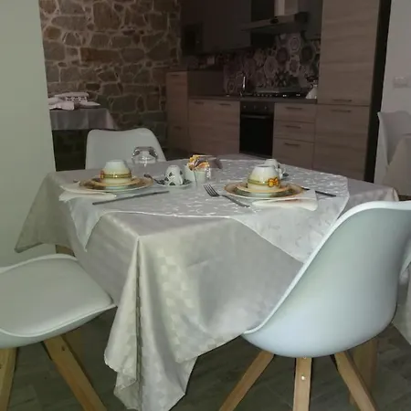 Viche Viche 奥尔戈索洛